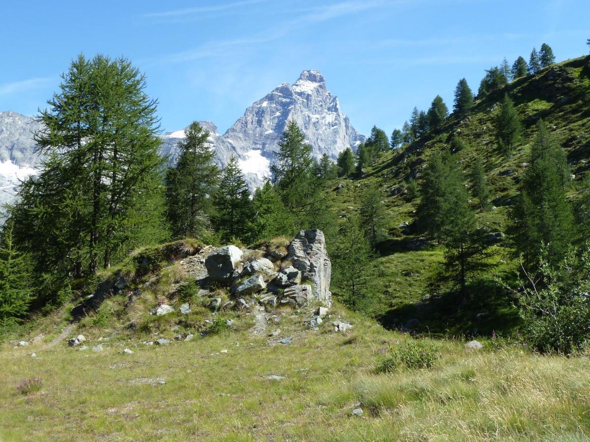 Le Petit Refuge Cervinia Apartment เบรยล์-แชร์วิเนีย ภายนอก รูปภาพ