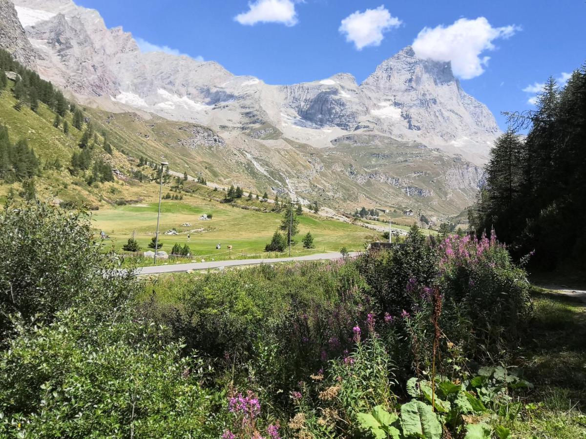Le Petit Refuge Cervinia Apartment เบรยล์-แชร์วิเนีย ภายนอก รูปภาพ