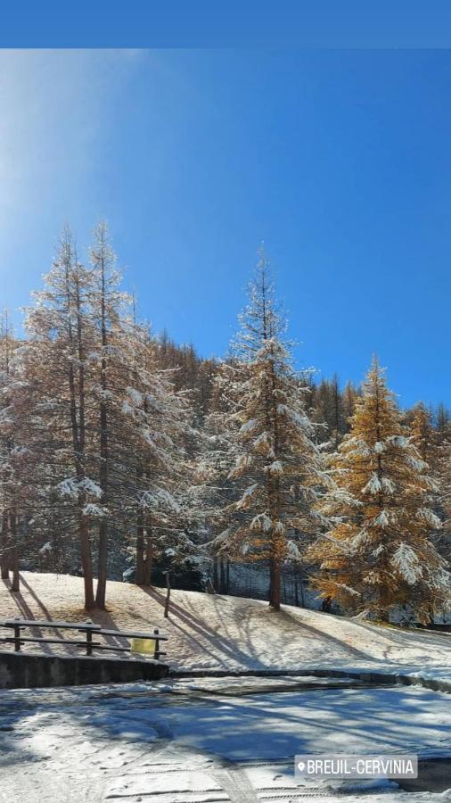 Le Petit Refuge Cervinia Apartment เบรยล์-แชร์วิเนีย ภายนอก รูปภาพ
